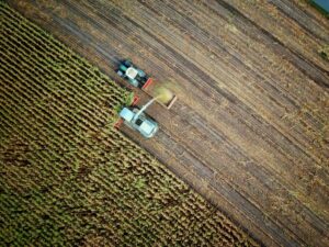 ANALIZĂ  Cine va mai produce hrana Europei? Radiografia unui schimb blocat de generații în agricultură / Cum e în România