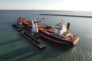 Bursă. Transport Trade Services mizează pe o recoltă de cereale „între foarte bună şi excepţională“ în 2026
