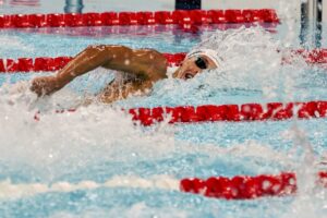 David Popovici, argint în proba de 50 m liber de la Trofeul Settecolli și nou record național