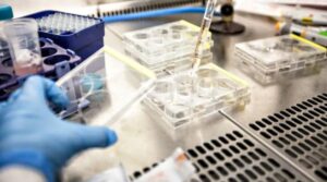 Oamenii de știință caută următorul medicament anticancer în genomul unei boli rare