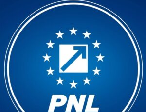 PNL: Puciștii continuă ofensiva împotriva propriului partid