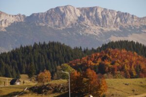 Gumuțeasca, o limbă veche de un secol, este încă vorbită într-un sat din România. Când este folosită de localnici