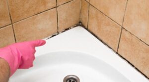 Mucegaiul înflorește în baie! 5 locuri pe care trebuie să le cureți urgent