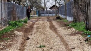 Românii care au propria lor limbă secretă. Ce este gumuțeasca și cine o mai vorbește