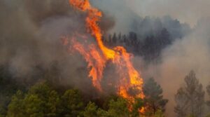 Turul Franței 2026, în pericol din cauza incendiilor. Etapă fără spectatori