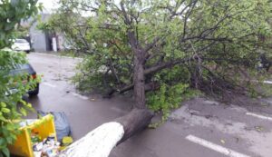 UPDATE  Bilanțul furtunii din București: 101 copaci și cinci stâlpi doborâți, 22 de străzi inundate și peste 140 de intervenții ale ISU / Circulația trenurilor, afectată în Complexul Feroviar București Nord