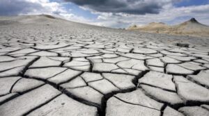 Valul de căldură din iunie a provocat pierderi de circa 2 miliarde de euro în agricultura europeană