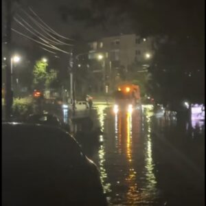VIDEO UPDATE Efectele furtunii din Craiova: Copaci doborâţi, maşini avariate şi case inundate / 49 de intervenţii ale pompierilor