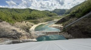 Buzoianu: Sunt primării care dau mai mulți bani pe panseluțe decât dădea România pe diguri și baraje
