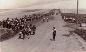 Holocaustul romilor: „Am fost încărcați în vagoane de vite și duși în Transnistria”. La ordinul lui Ion Antonescu, 25.000 de romi au fost deportați în Transnistria, iar 11.000 nu s-au mai întors