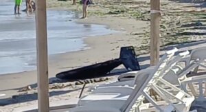 „Mai bine sufli și-n iaurt!” / Ministrul Apărării justifică restricțiile de pe plaje, după ce valurile au adus la mal resturi de drone / ”Pe primul loc este protecția cetățenilor”