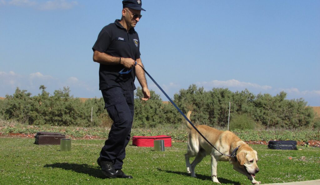 Baza de date cu ADN canin. O țară folosește o nouă metodă criminalistică pentru identificarea suspecților