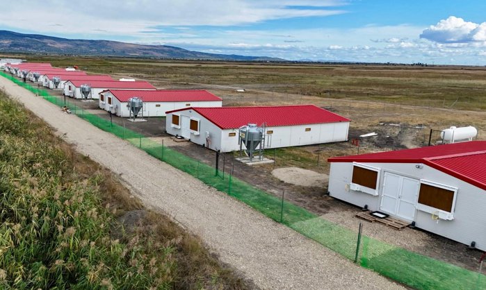 Carmistin The Food Company a investit 8 milioane de euro într-o fermă de pui de carne bio