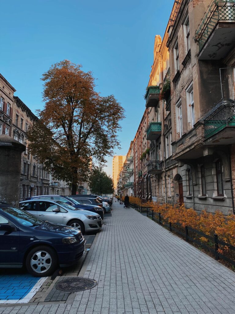 Ce înseamnă trucul cu numere poloneze folosit în România și Italia