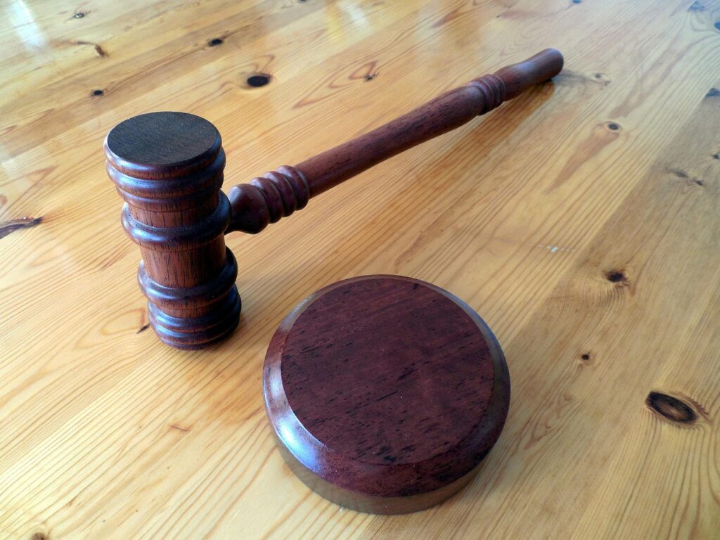 Doi cetățeni ruși, trimiși în judecată după ce ar fi folosit certificate false de cetățenie română