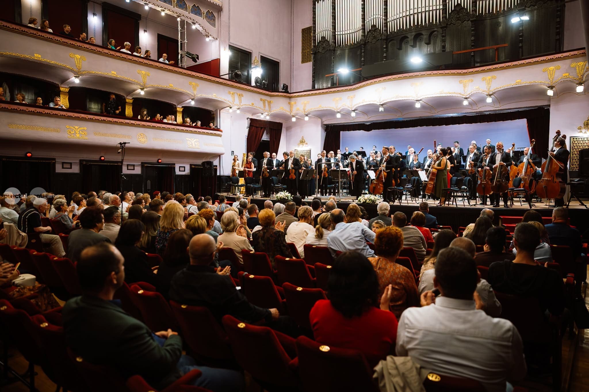 Filarmonica și Teatrul „Ariel”, printre beneficiarii unei finanțări aprobate de Guvern