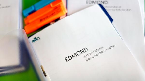 Teatrul Național din Timișoara începe repetițiile la spectacolul EDMOND de David Mamet, în regia lui Radu Iacoban