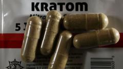 What is kratom, the 'gas station heroin' alarming officials in the US?