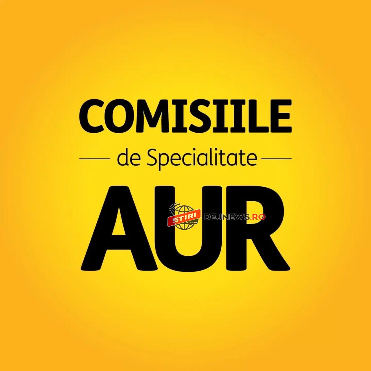 7.582 de străini aflați ilegal în România nu au fost îndepărtați. AUR cere audit de urgență la Inspectoratul General pen