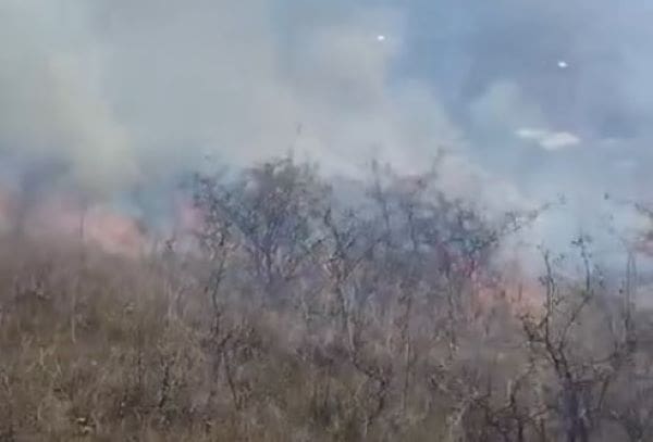 8 hectare de vegetație uscată din Sâncraiu de Mureș afectate de un incendiu