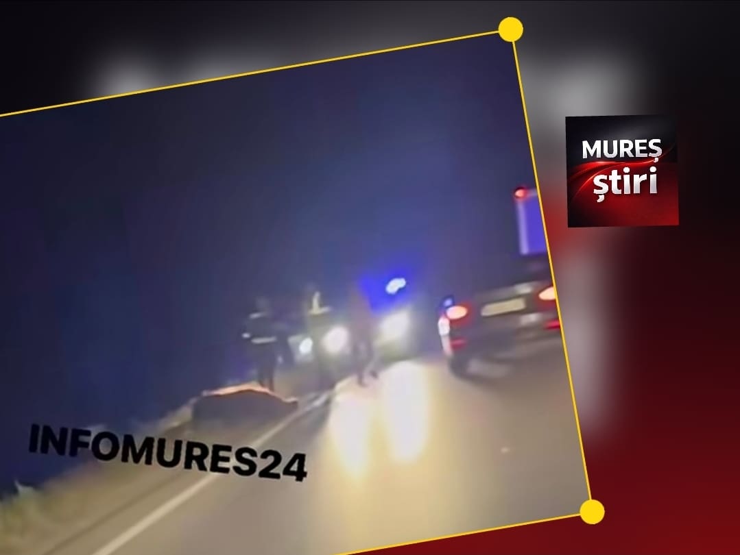 ACCIDENT RUTIER ÎN JUDEȚUL MUREȘ: Urs lovit în plin de un camion pe DJ 151D, în această dimineață!
