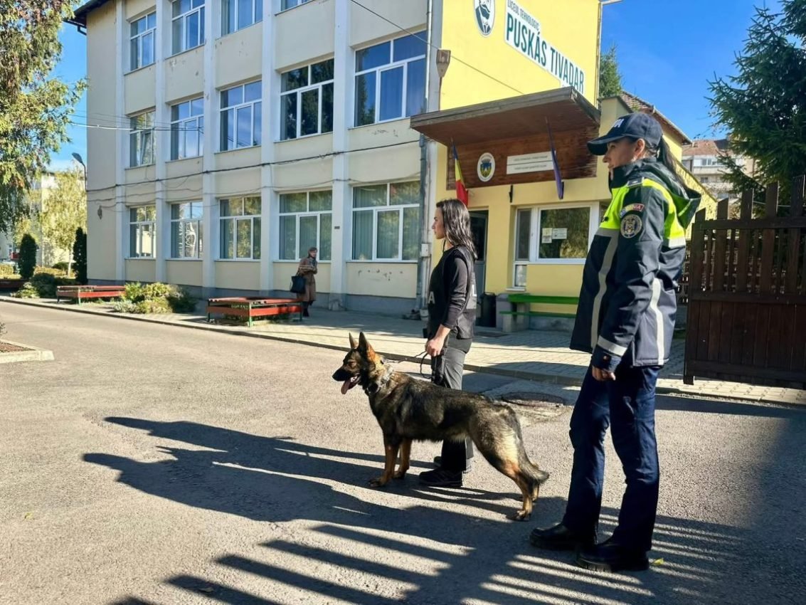 Acțiune cu câini de serviciu în zona școlilor din Sfântu Gheorghe: zeci de persoane legitimate și amenzi aplicate