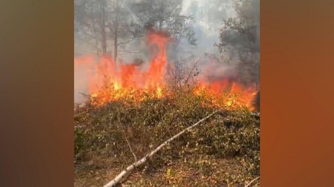 Aerul din Câmpu lui Neag, monitorizat după incendiul din Parcul Național Retezat