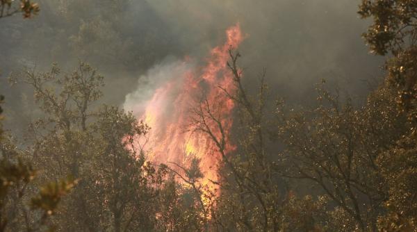 Alertă la Plauru: un obiect, probabil dronă, a căzut și a izbucnit un incendiu