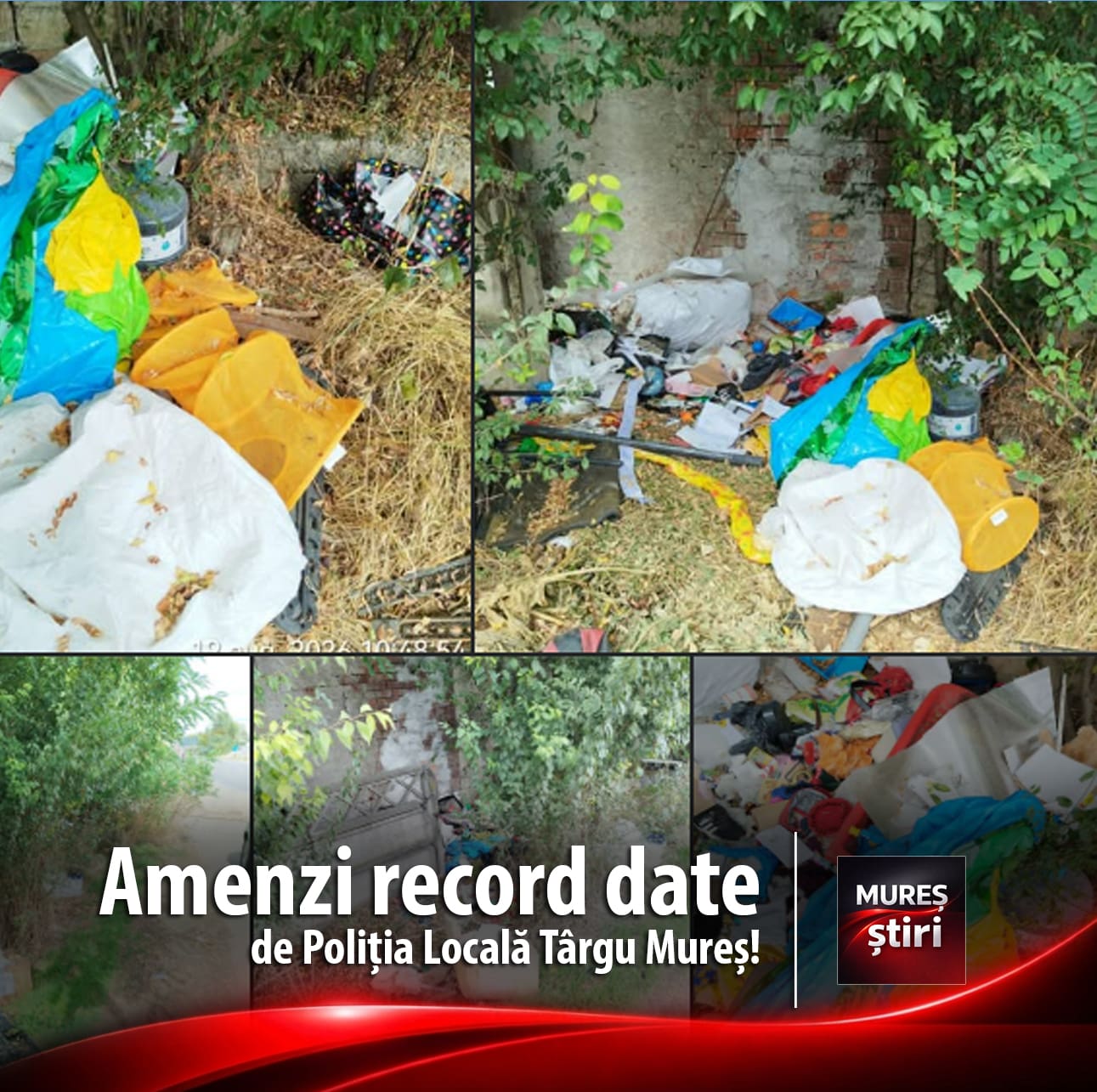 Amenzi record date de Poliția Locală Târgu Mureș: 90.000 de lei pentru deșeuri abandonate pe domeniul public!