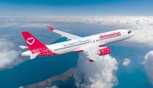 AnimaWings: avioanele rămân la sol până la jumătatea lui noiembrie, iar totul se decide în tribunal