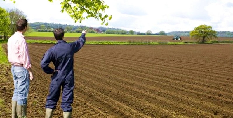 APIA a plătit vineri peste 124 de milioane de euro către 103.755 de fermieri, avansul subvențiilor agricole