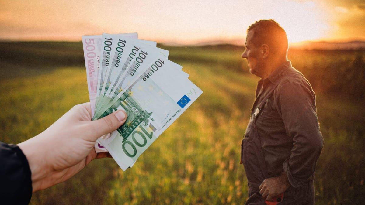 APIA oferă până la 333 de lei pe hectar pentru fermierii afectați de secetă și explică cine poate primi ajutorul