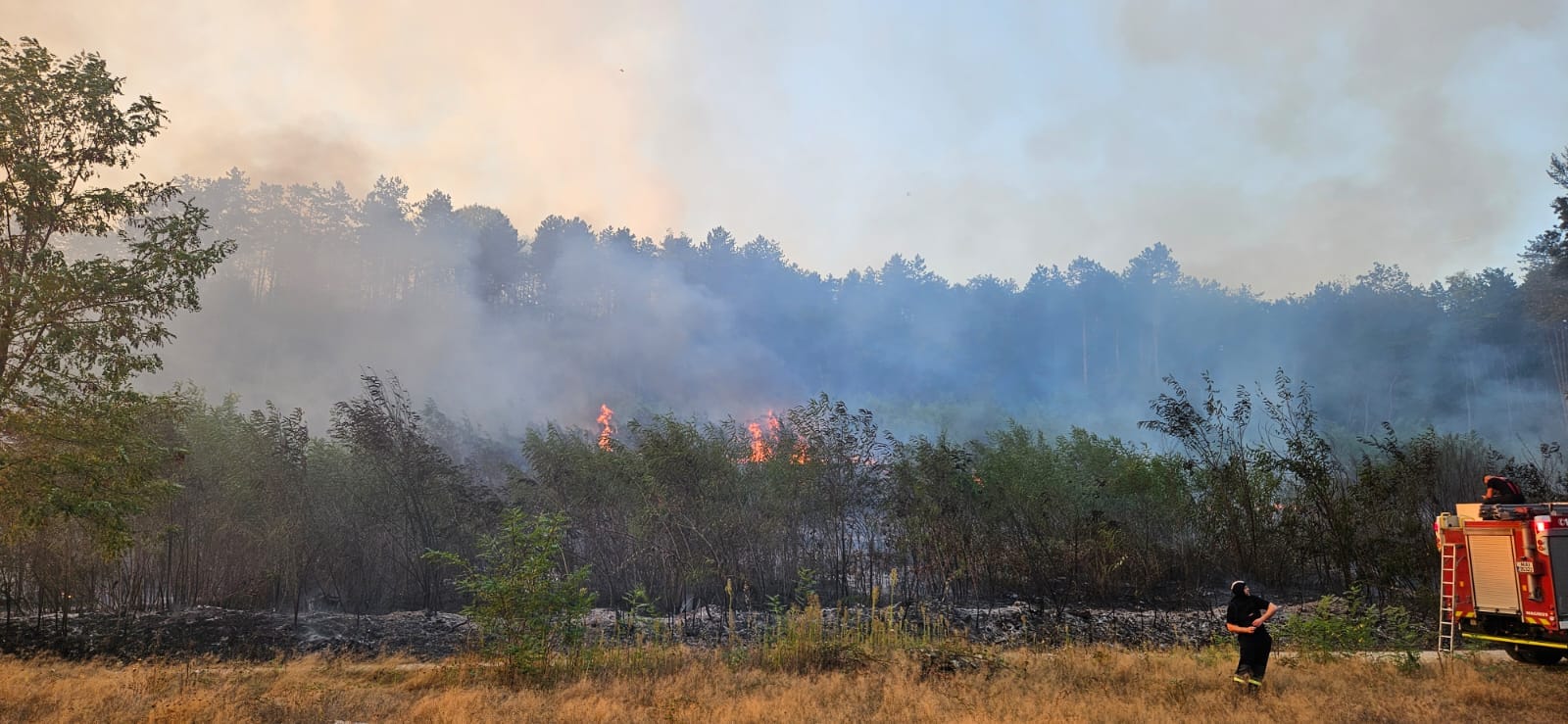 Aproape 10 hectare de vegetație, mistuite de incendii la Arad și Bârsa. Pompierii au avut 27 de intervenții într-o singu