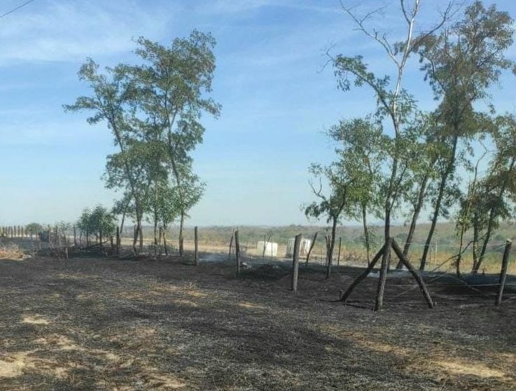 Șapte incendii într-o zi în Timiș. La Chevereșu Mare, focul s-a întins pe 40 de hectare