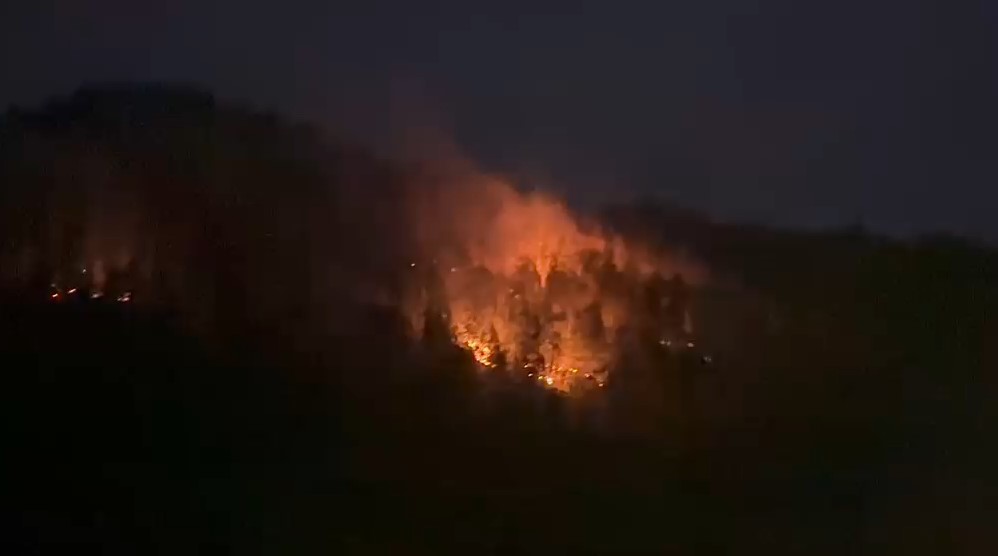 Țara Hațegului: peste 130 de hectare au ars; doi oameni, amendați pentru că dădeau foc vegetației