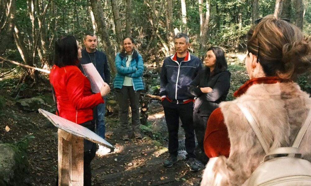 Țara Hațegului: profesorii, implicați în activități interactive de educație pentru natură și mediu