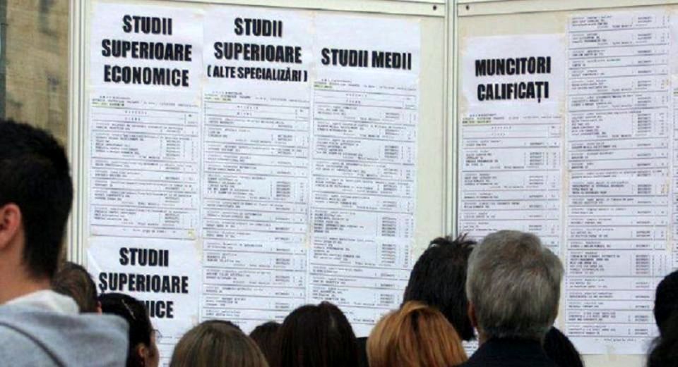Arad: 320 de locuri de muncă la bursa pentru absolvenți, dar doar 260 de persoane s-au interesat