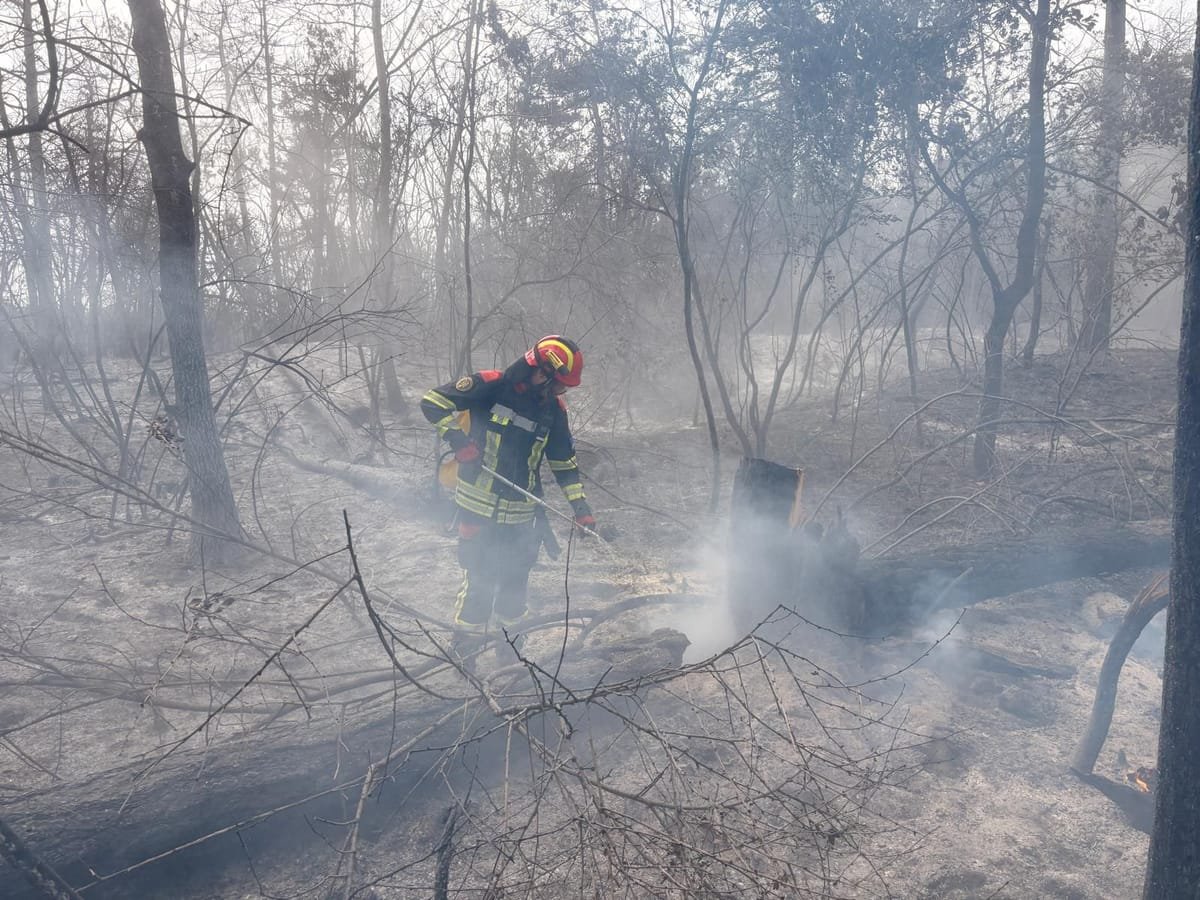 Arad: incendiile de vegetație au distrus peste 1600 de hectare, iar pompierii au intervenit la 412 incendii