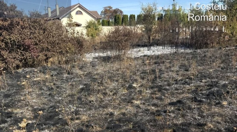 Arderile necontrolate fac ravagii în Timiș: peste 44 de hectare au ars în 24 de ore