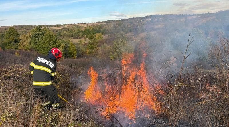 Balinț, Bichigi, Cladova și Bucovăț: peste 50 de hectare afectate de cinci incendii de vegetație uscată