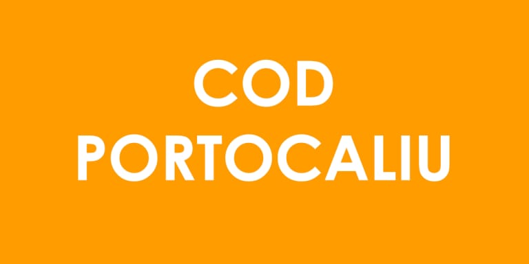 Bazna și Blăjel (Sibiu), sub cod portocaliu de furtuni și vijelii până la ora 19:30