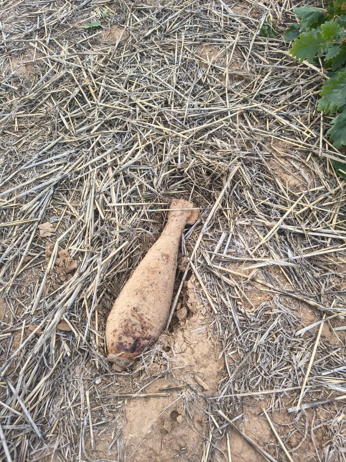 Becheni: bombă de aruncător de calibru 82 mm, descoperită pe o pășune și ridicată de pirotehniști