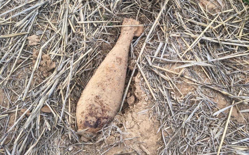 Becheni, Satu Mare: bombă de aruncător de 82 mm găsită pe o pășune. Au intervenit pirotehniștii