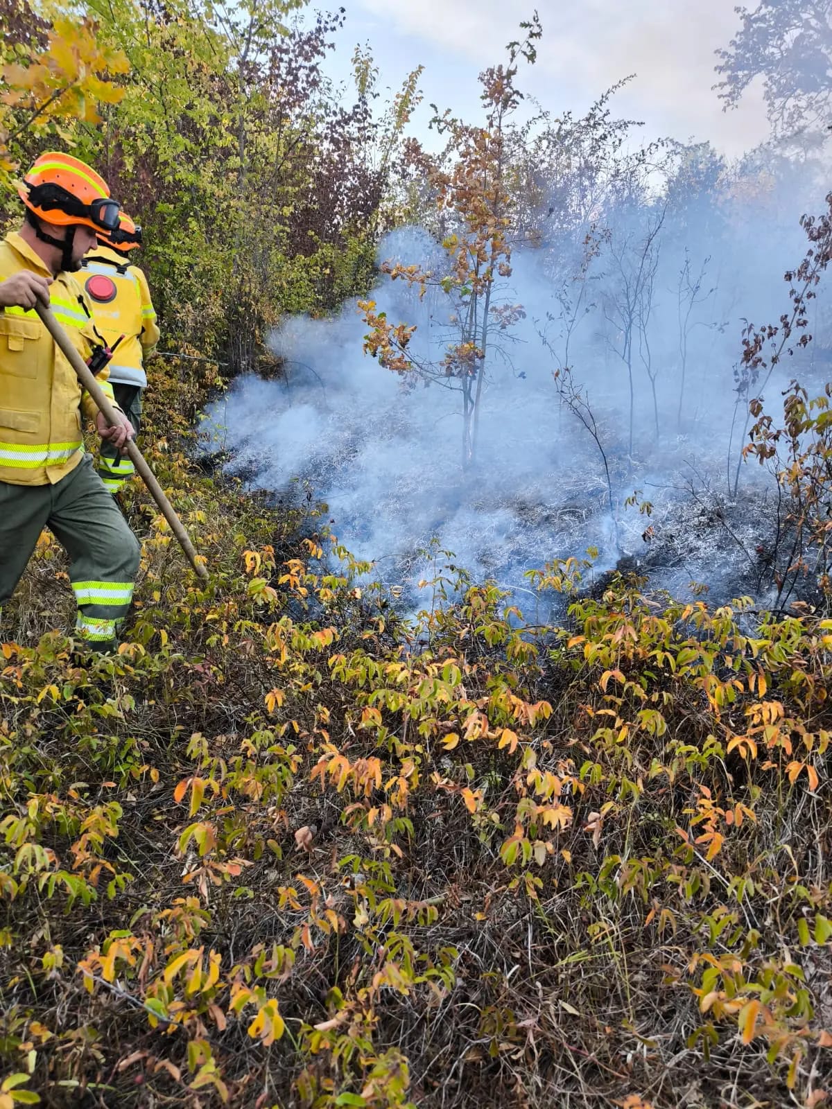 Bihor: 16 incendii doar azi, patru intervenții sunt încă în desfășurare