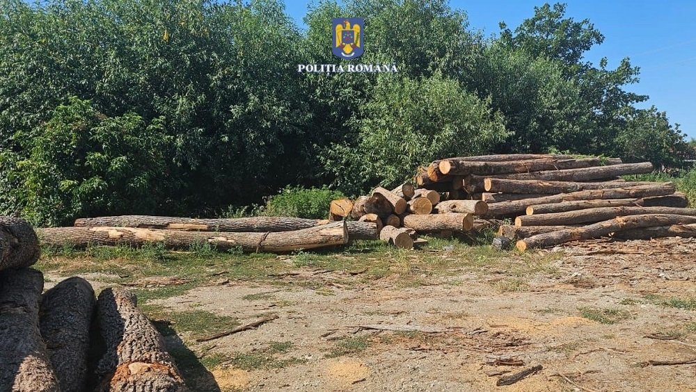 Bihor: diferență de aproape 730 de metri cubi de lemn într-un depozit, prejudiciu de 300.000 de lei