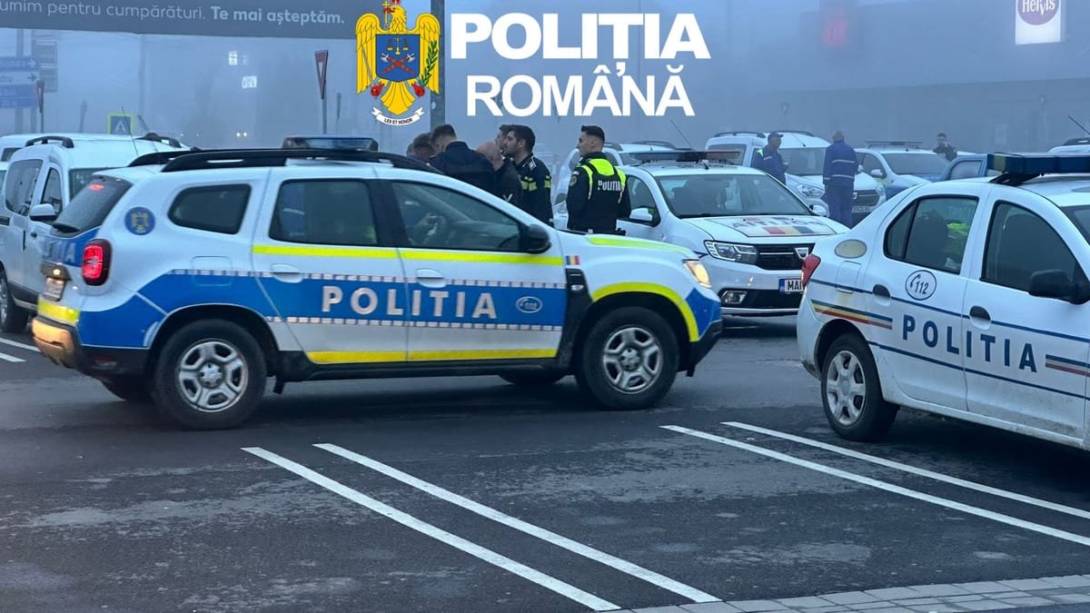 Bihor: percheziții la o firmă după ce lipsesc peste 729 de metri cubi de lemn, prejudiciu de 300.518 lei
