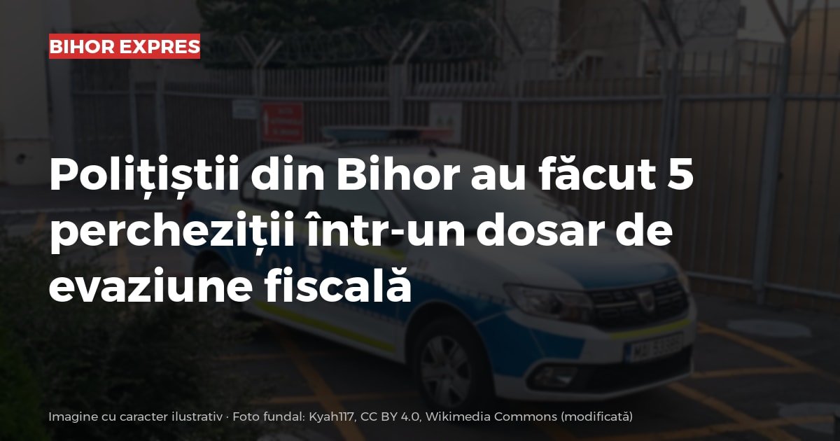 Bihor: polițiștii au făcut 5 percheziții într-un dosar de evaziune fiscală