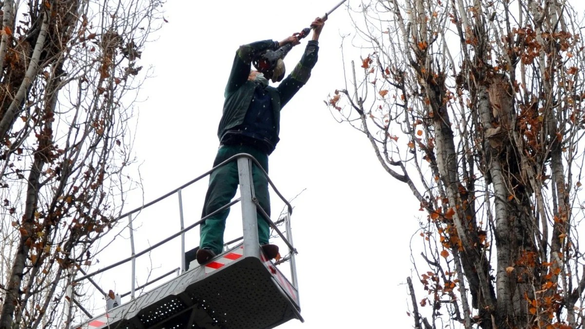 Bihor: pompierii avertizează că incendiile de vegetație se pot reaprinde după arderea terenurilor