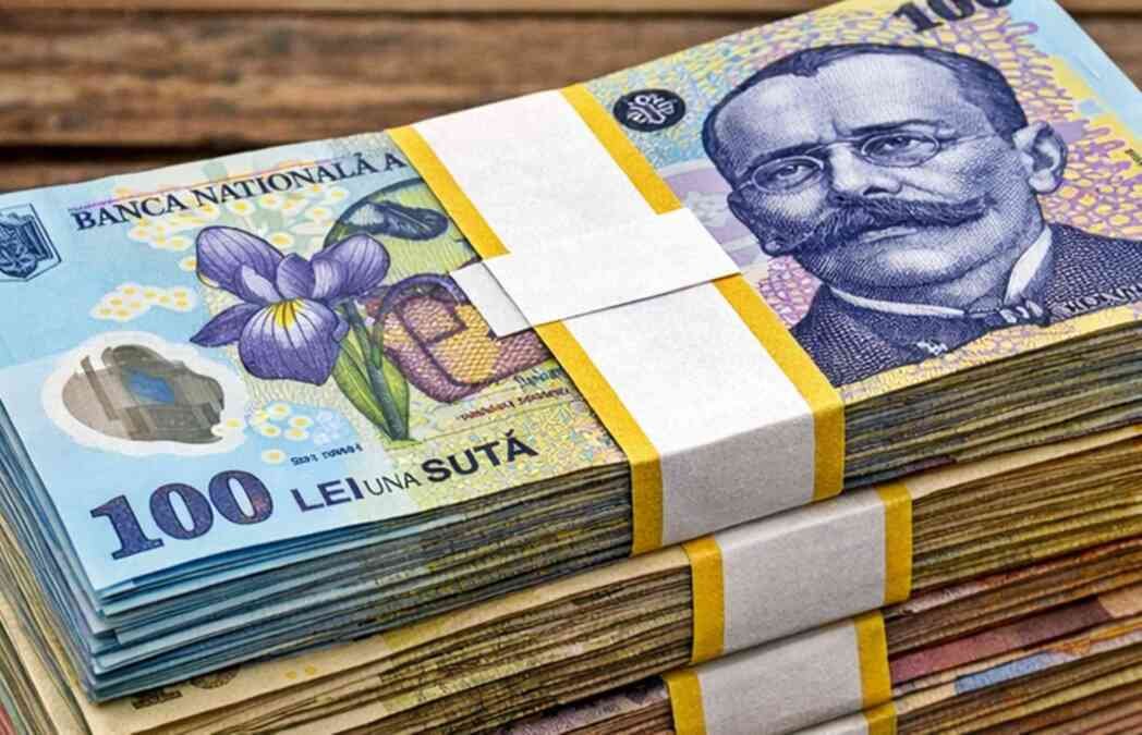 Bistrița: firmă din rețeaua Crina Cezara Vuza, obligată să returneze banii din Start-Up Nation