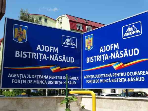 Bistrița-Năsăud: peste 2.200 de persoane și-au găsit loc de muncă în primele nouă luni ale anului